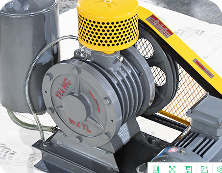 1634523835455582.png 32.png